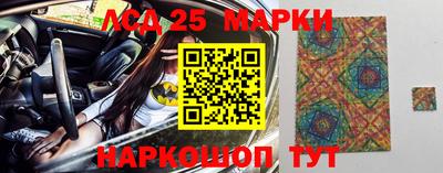 шишки Шелехов
