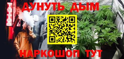сатива Шахты