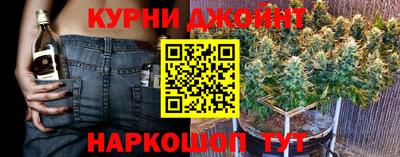 сатива Шахты