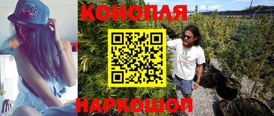 сатива Шахты