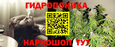 герыч Шебекино
